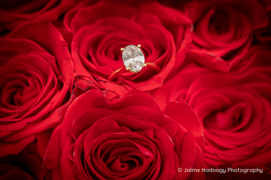 Gorgeous Mountain Proposal at Wiseman's View in Linville, NC | WNC Engagement Photographer