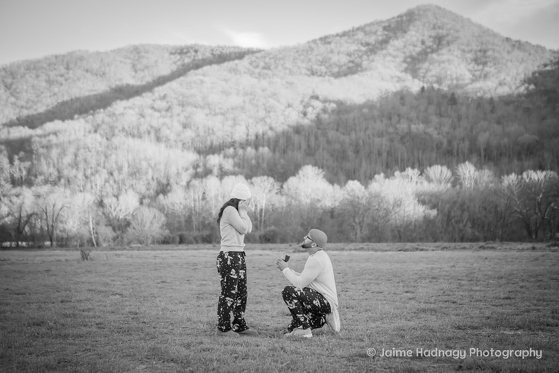 Christmas Proposal | Asheville Family Photographer