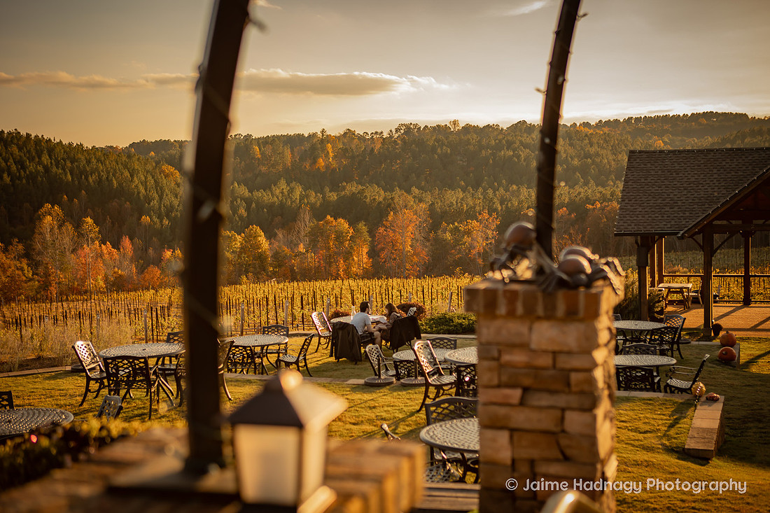 Surprise Proposal at Mountain Brook Vineyards | Asheville Engagement Photographer