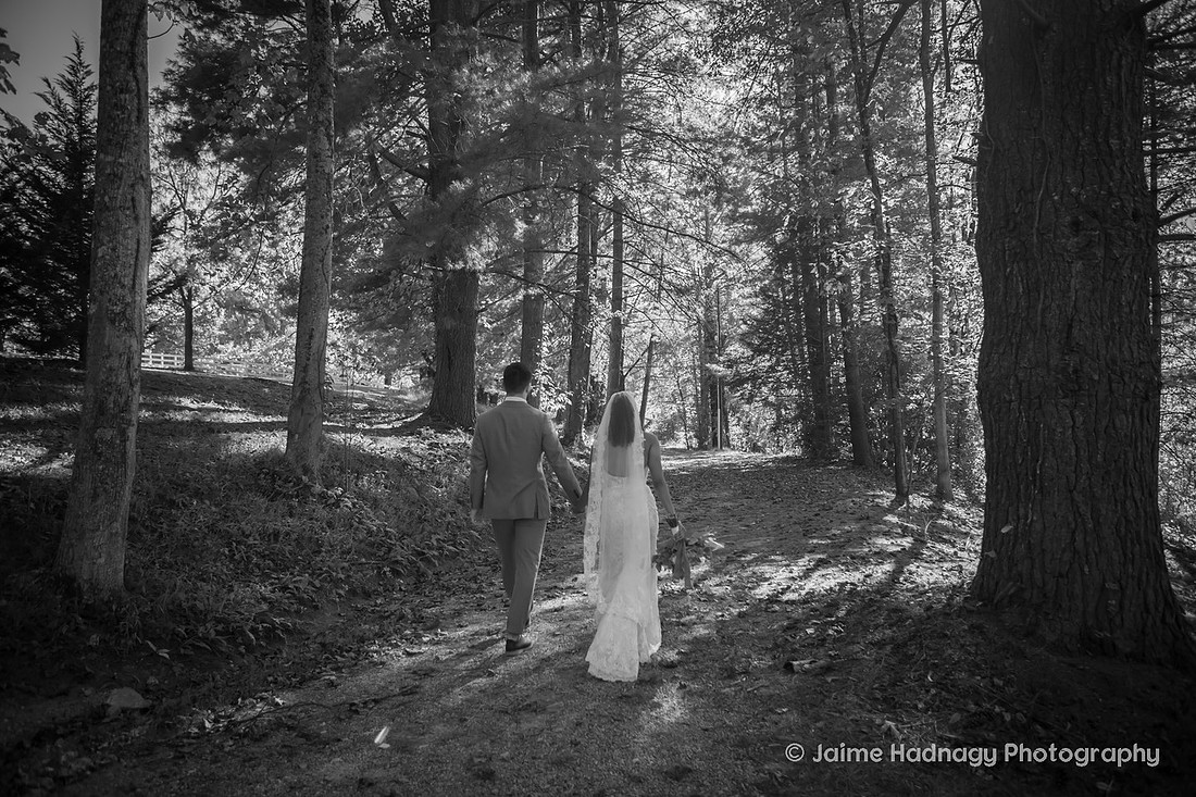 Wedding Details, Group Photos, Bridal Portraits