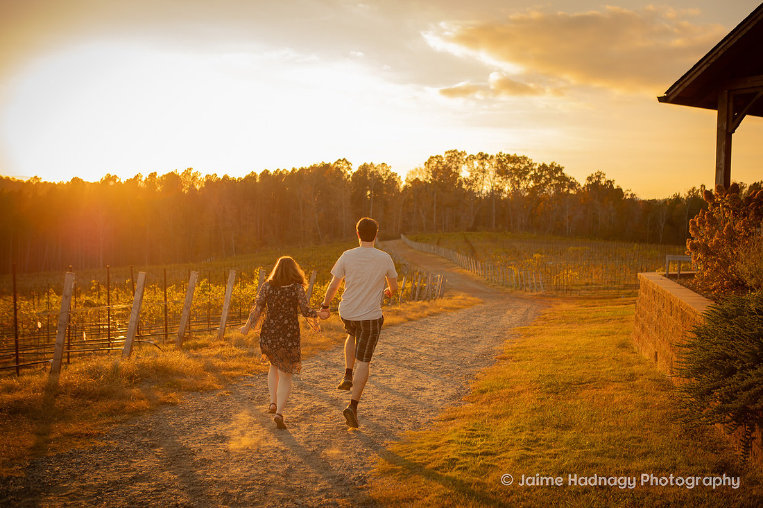 Engagement Photos at Mountain Brook Vineyards in Tryon | Asheville Proposal Photographer