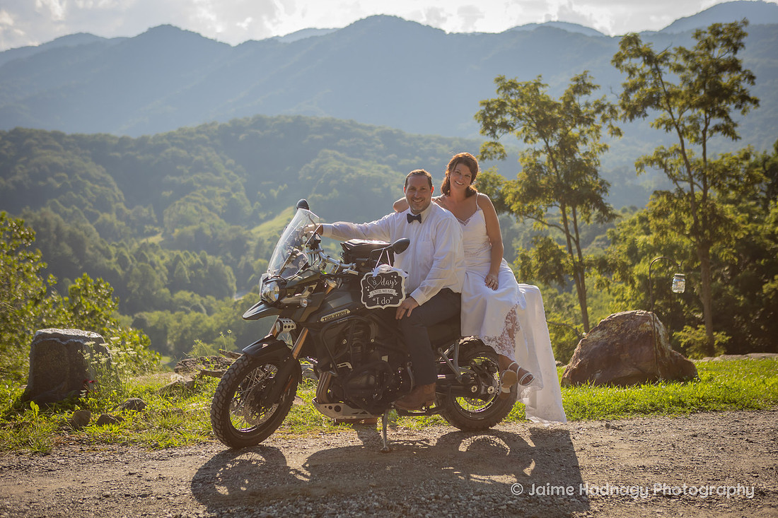 Wedding with Highland COws and Motorcycle | Asheville Elopement Photographer