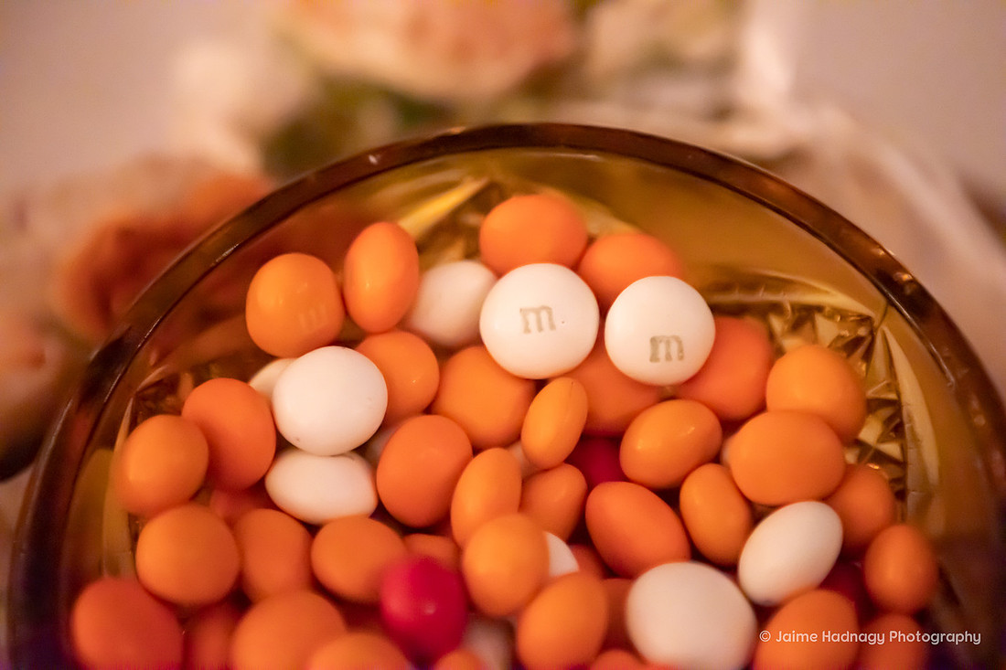 Asheville Wedding Photographer