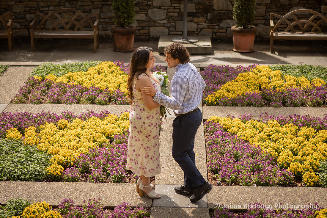 Romantic Surprise Proposal at the NC Arboretum | Asheville Engagement Photographer