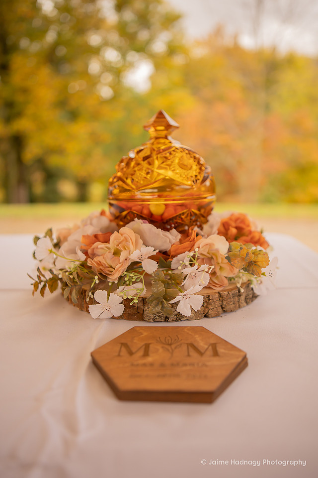 Mountain Wedding at Engadine Inn & Cabins Candler NC | Asheville Photographer