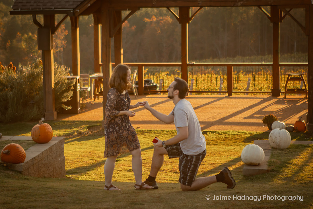 Surprise Proposal at Mountain Brook Vineyards | Asheville Engagement Photographer