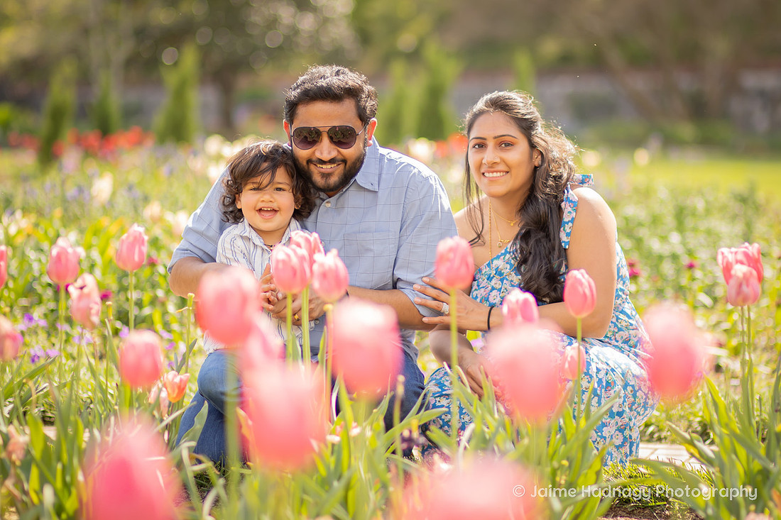 Family Photos with Toddler Baby | Asheville Photographer