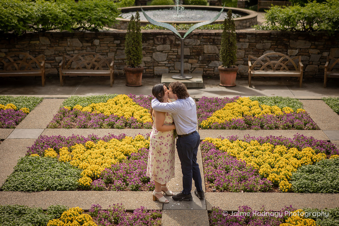 Romantic Surprise Proposal at the NC Arboretum | Asheville Engagement Photographer