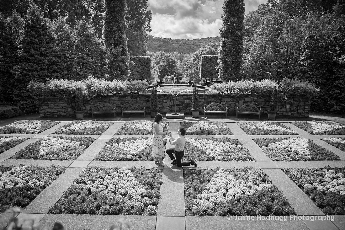 Romantic Surprise Proposal at the NC Arboretum | Asheville Engagement Photographer