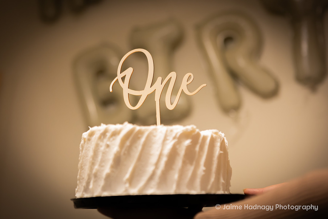 One Year Old Cake Smash Photoshoot | Asheville Baby Photographer