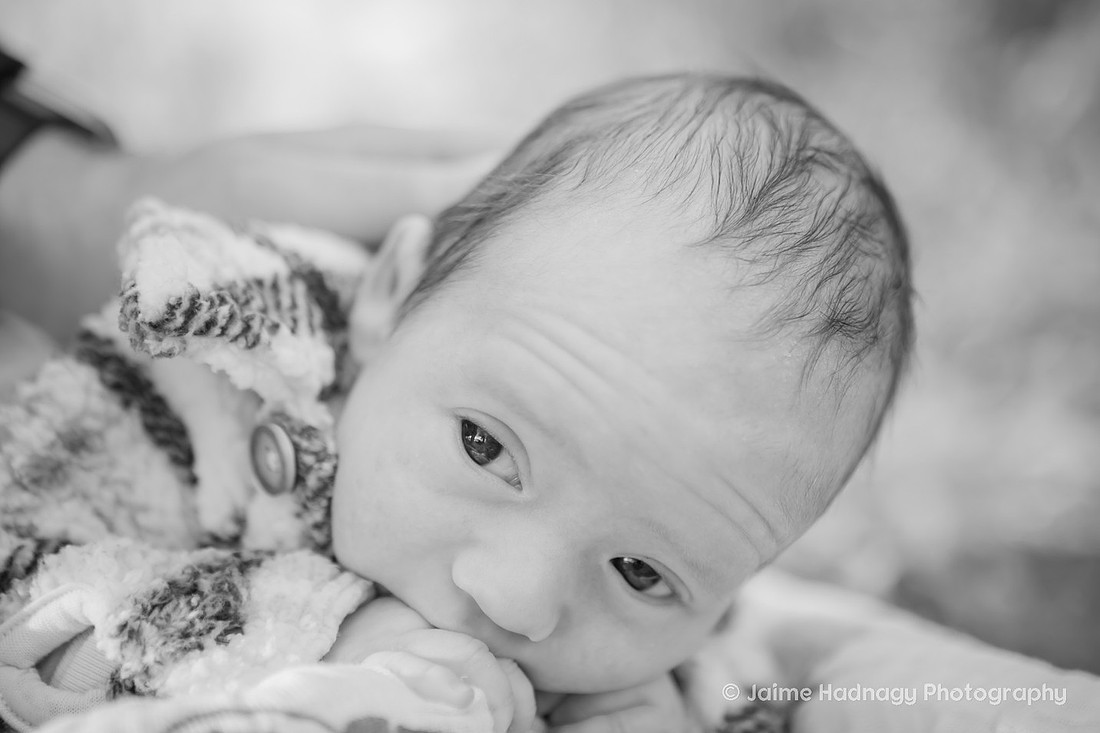Newborn Photoshoot | Asheville Baby Photographer