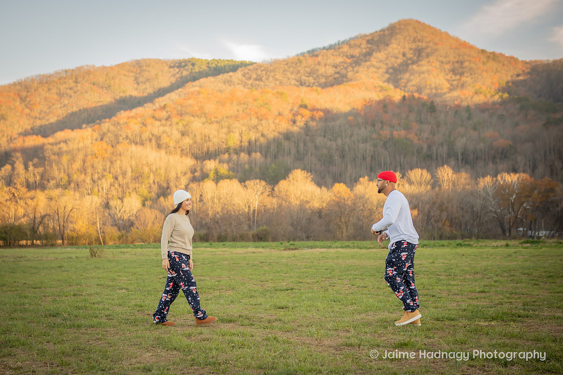 Christmas Proposal | Asheville Family Photographer