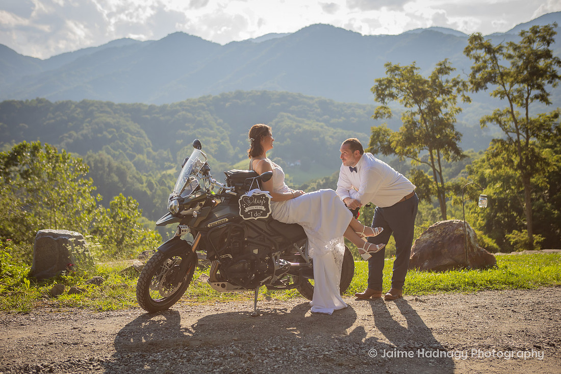 Wedding with Highland COws and Motorcycle | Asheville Elopement Photographer