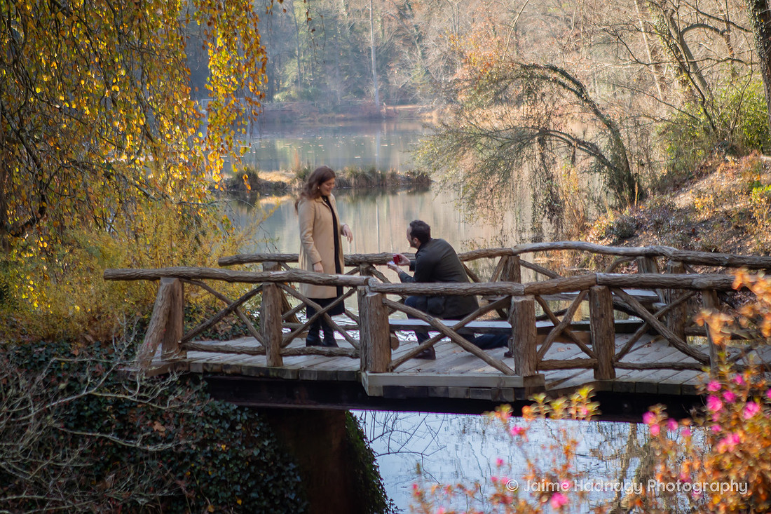 Surprise Proposal at the Biltmore Estate Bass Pond | Asheville Engagement Photographer