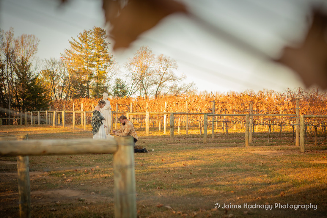 Vineyard Proposal Photography | Asheville Engagement Photographer