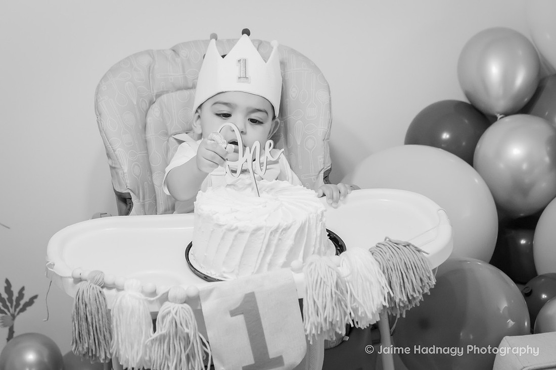 One Year Old Baby Photoshoot | WNC Baby Photographer