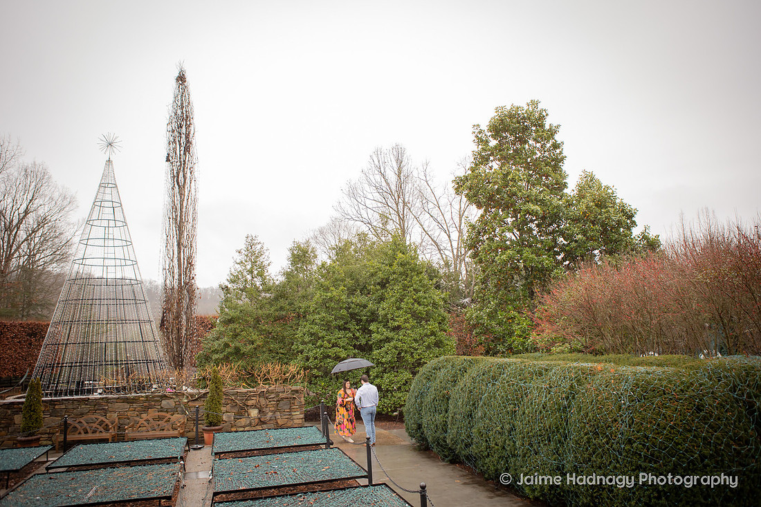 Winter Proposal Photography at NC Arboretum