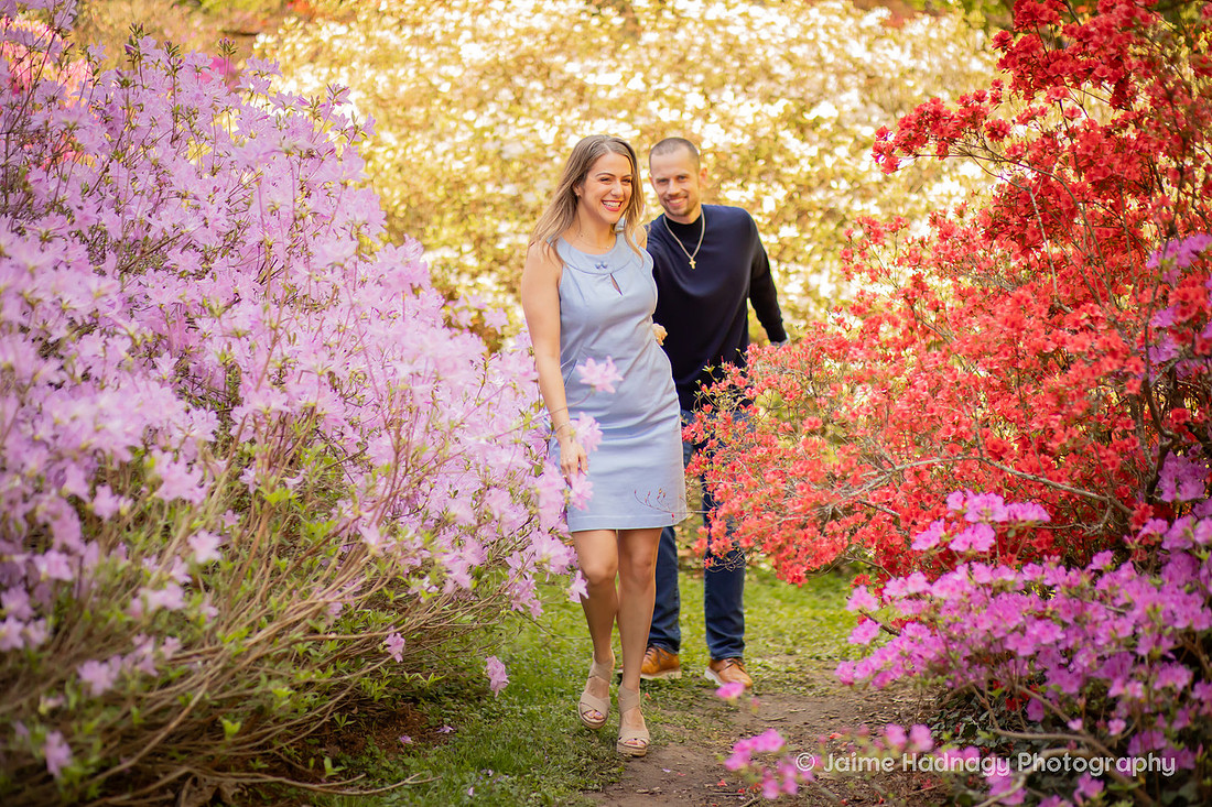 Asheville Engagement Photographer Session at Biltmore Estate Gardens