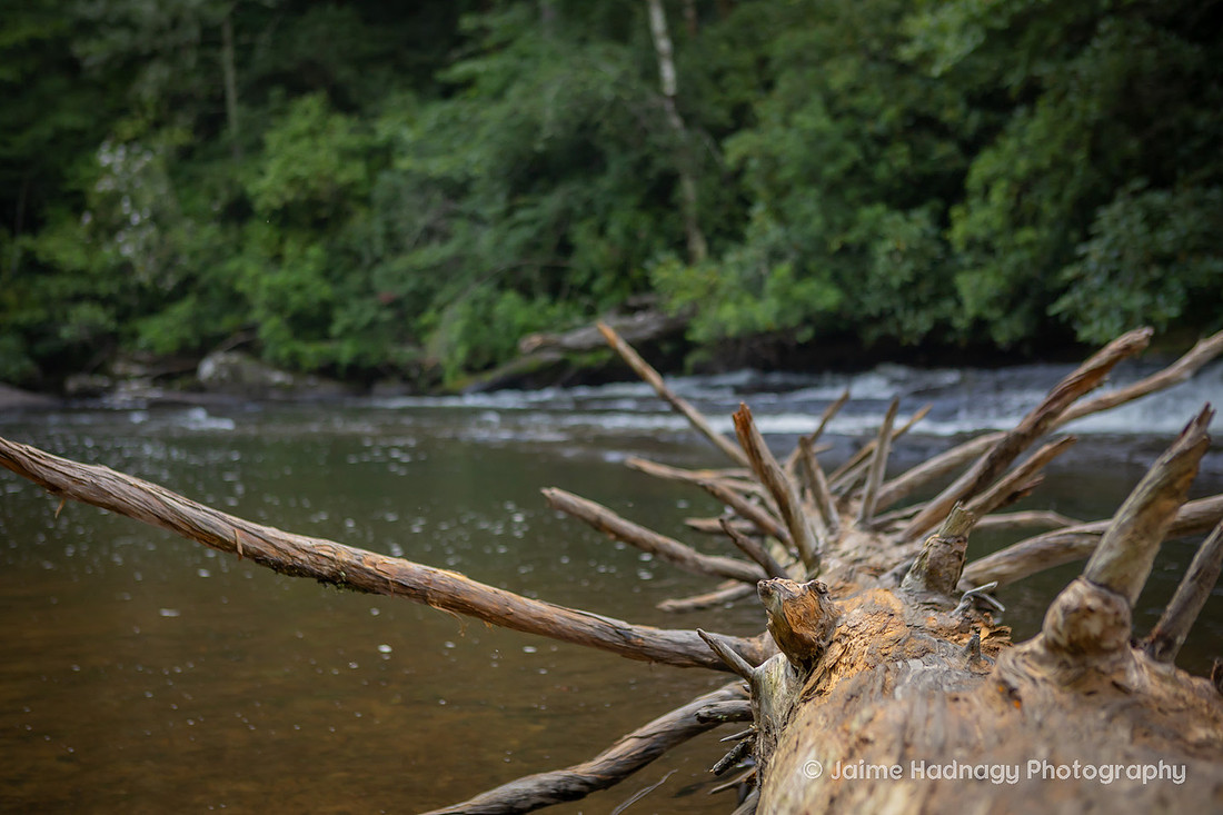 Wedding Day Bridal Portraits at Triple Falls in Brevard NC | Asheville Elopement Photographer