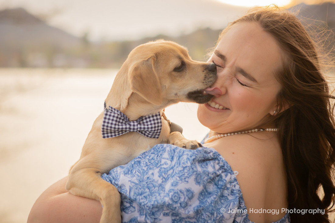 Adorable Dogs | Asheville Pet Photographer