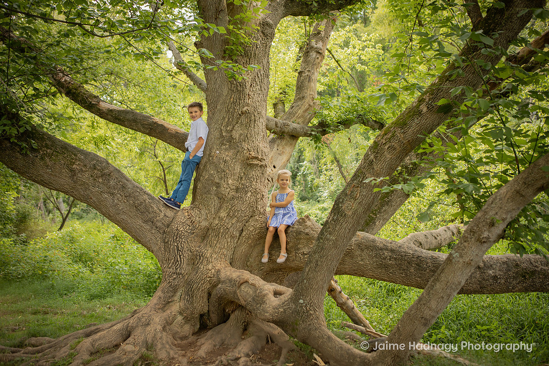 Family Portrait with Big Tree | Asheville Photographer