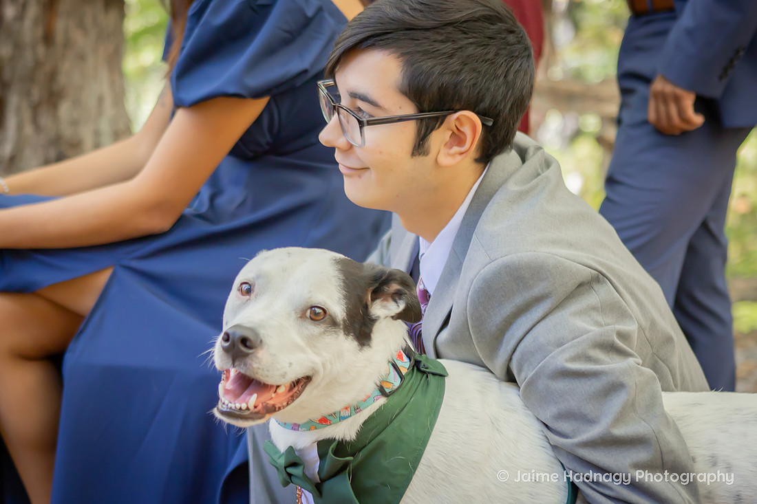 Small Family Wedding at Cabin in the mountains | Asheville Photographer