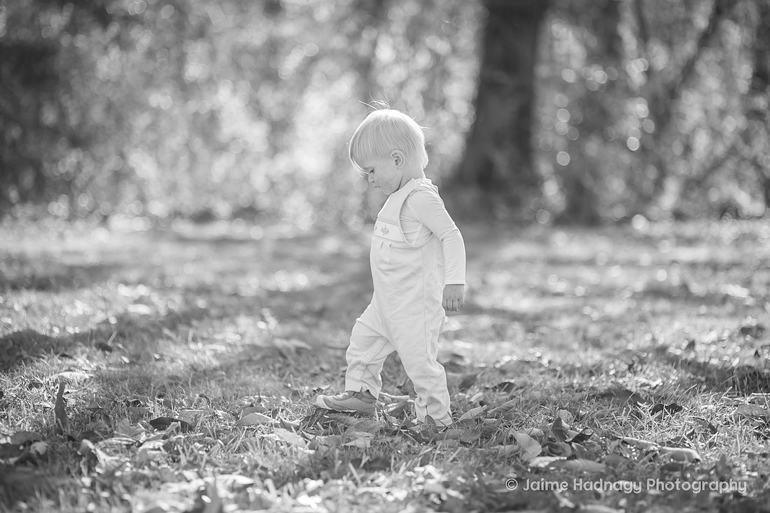 Family Photography in Asheville with One Year Old at Beaver Lake and the Bird Sanctuary