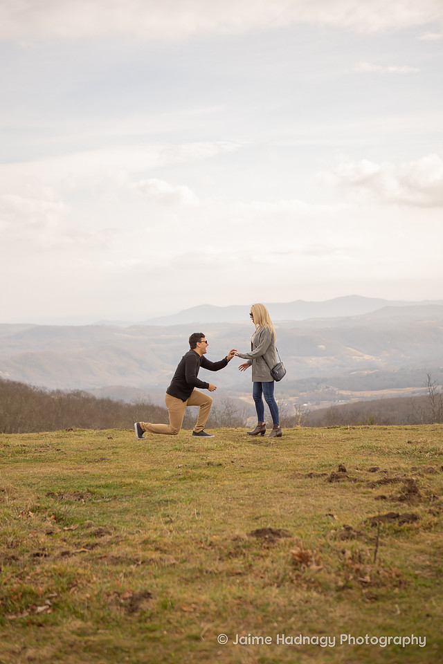 Surprise Proposal Photographer Asheville