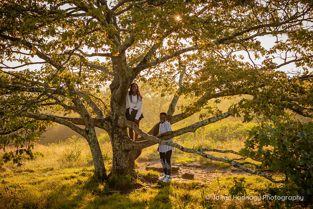 Outdoor Hiking Family Photos on the Blue Ridge Parkway Craggy Gardens | Asheville Photographer