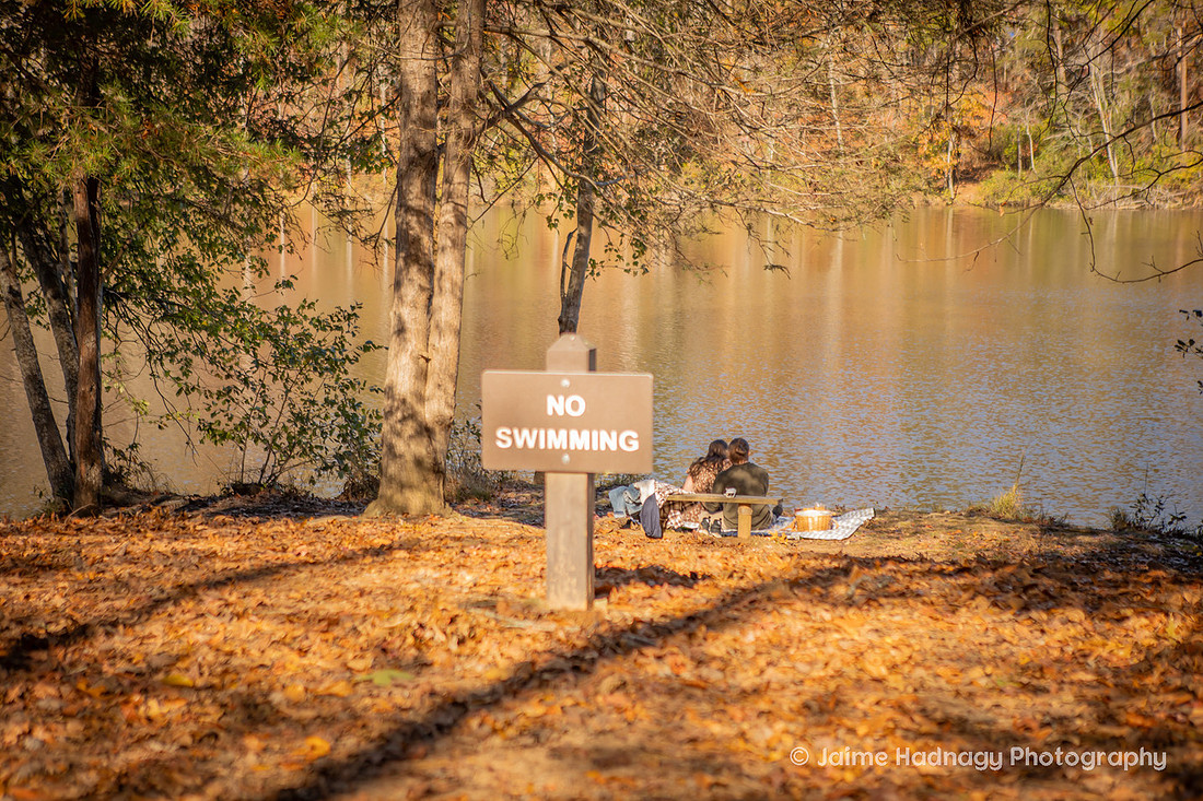 Picnic at Paris Mountain State Park