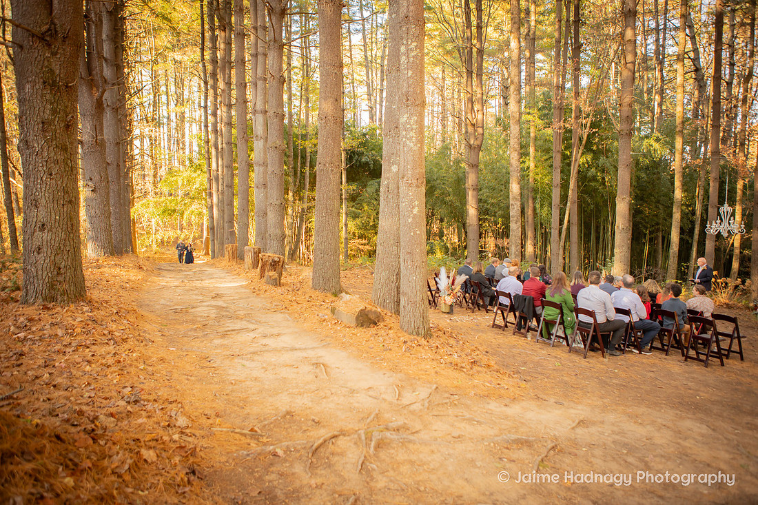 Walking down the Aisle in the Forest