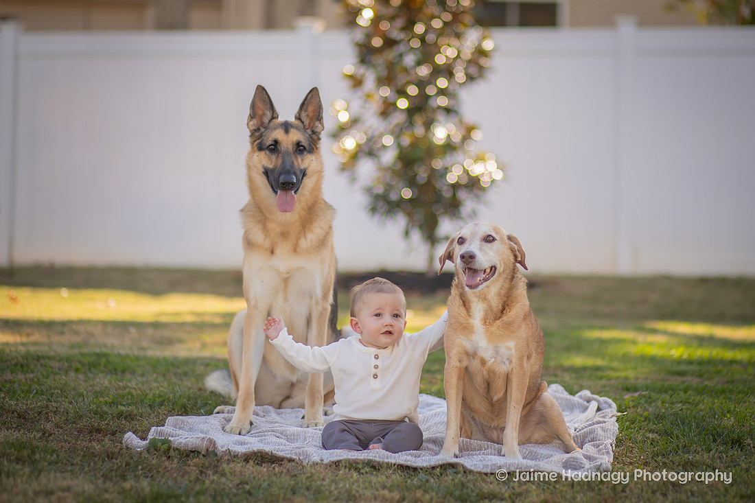 Baby with 2 dogs on a blanket