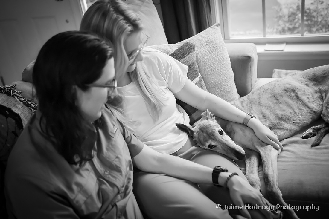 Senior Greyhound Photoshoot | Asheville dog Photographer