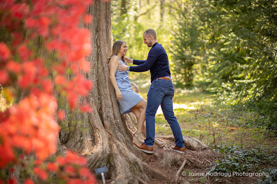 Engagement Photos in the Gardens of the Biltmore 