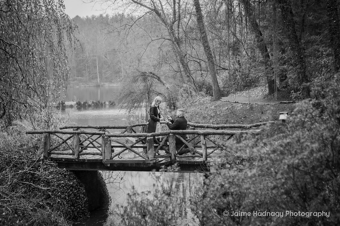 Surprise Proposal in the Rain at The Biltmore Bass Pond | Engagement Photography