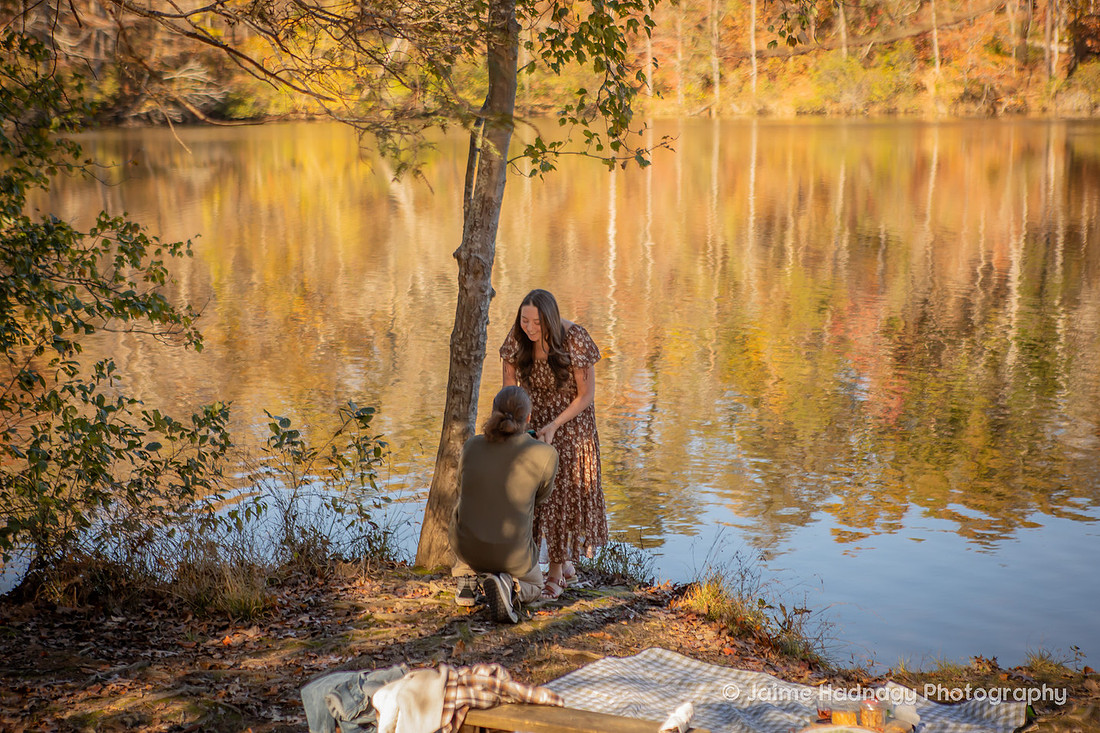 Surprise Proposal at Paris Mountain State Park