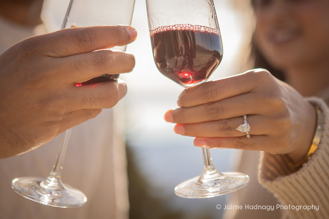 Romantic Proposal in the mountians | Asheville Photographer