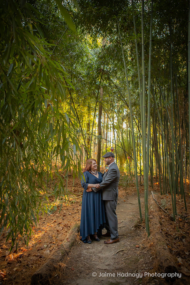 Outdoor Bride and Groom Portraits | Asheville Wedding Photographer