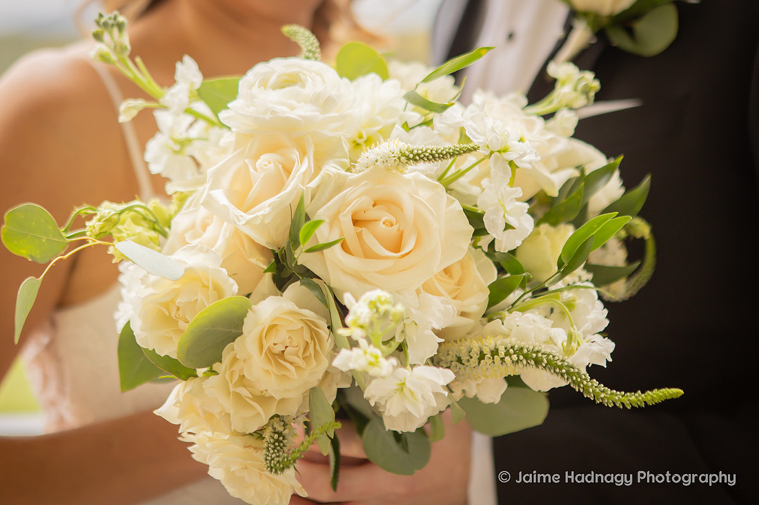 Wedding Photos at the Biltmore Estate | Asheville Photographer