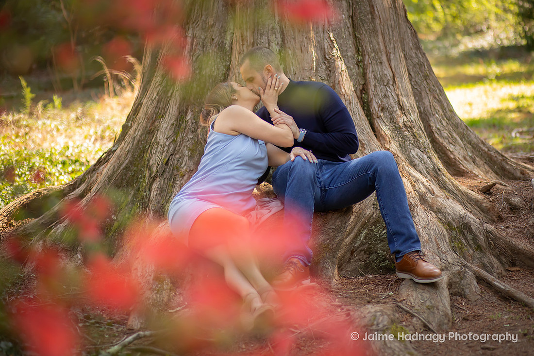 Engagement Photos in the Gardens of the Biltmore 