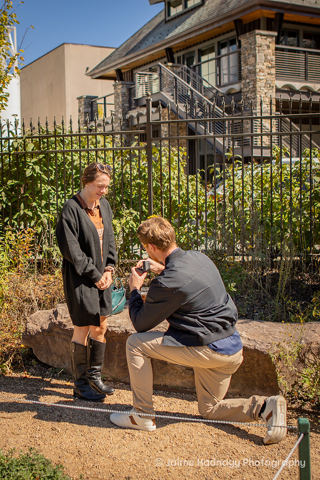 Surprise Proposal at Sierra Nevada Asheville