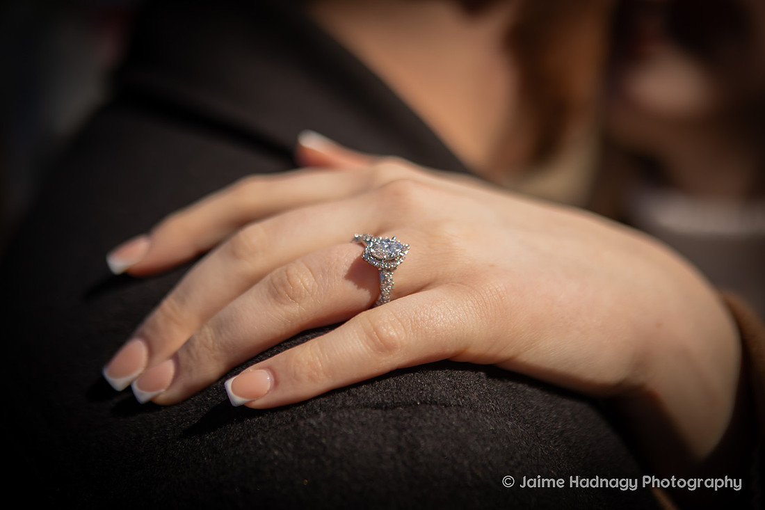 Proposal at Biltmore House