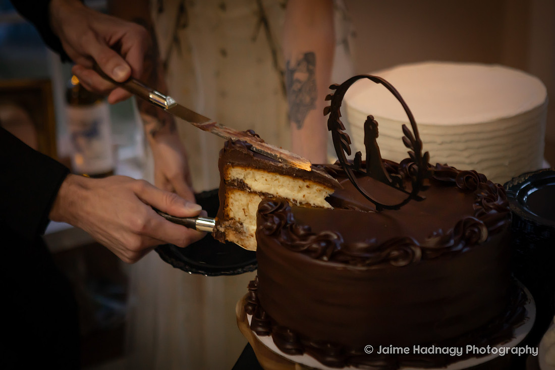 Asheville Micro Wedding Photographer