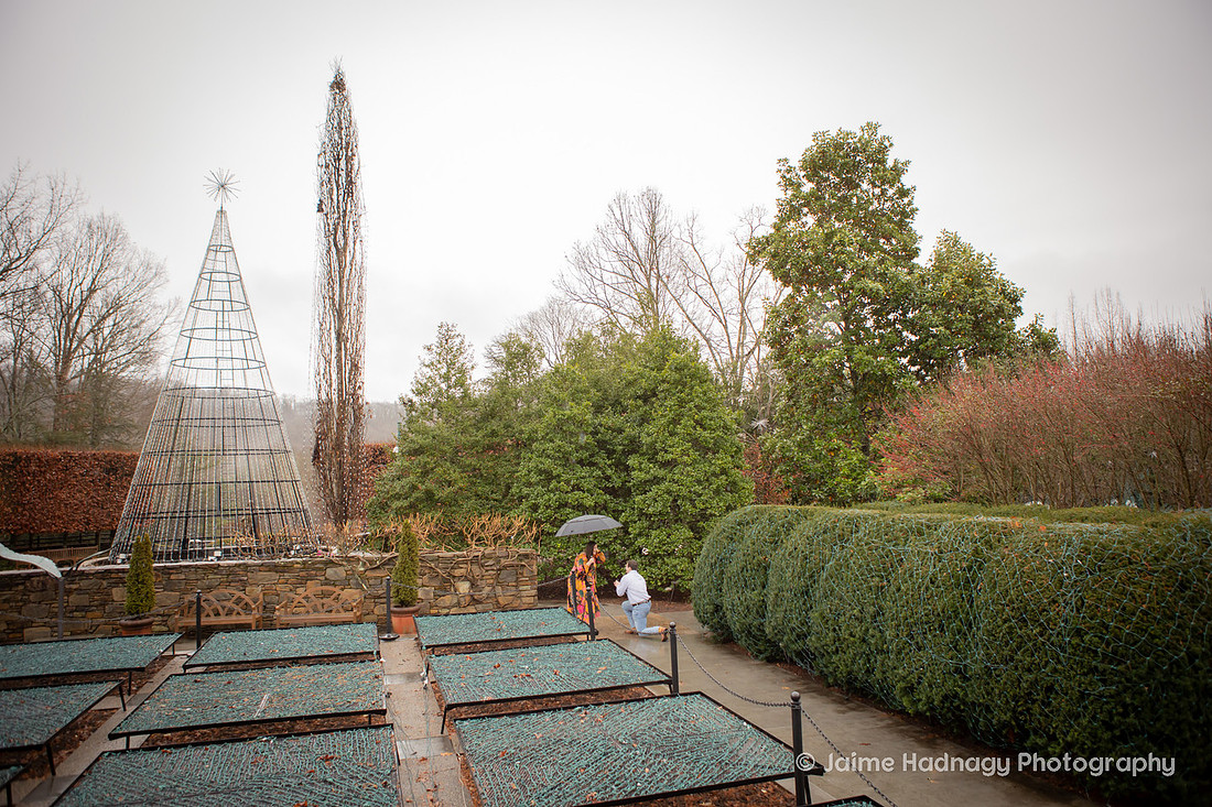 Rainy Day Proposal Photography at the Arboretum in Asheville | Engagement Photographer