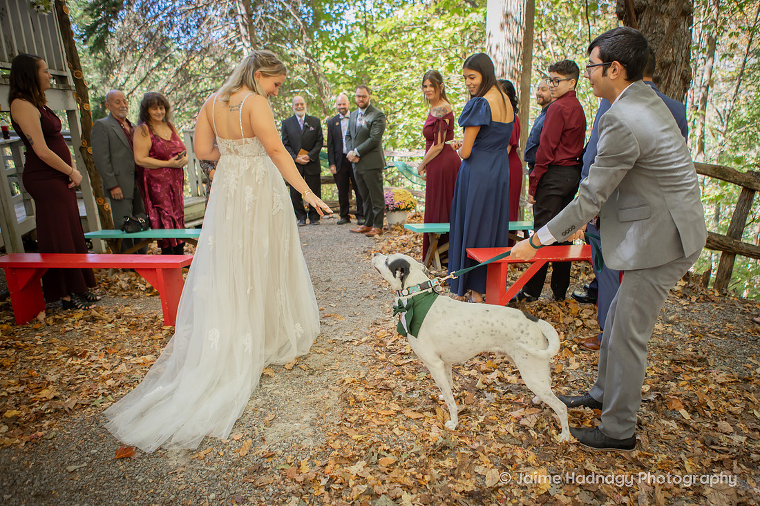 Small Family Wedding at Cabin in the mountains | Asheville Photographer