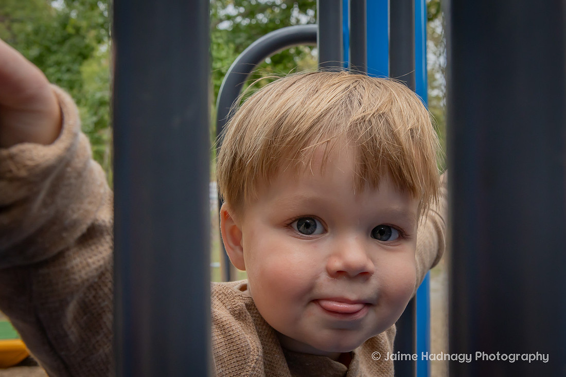 Extended Family Photos in the Park | Asheville Professional Photographer