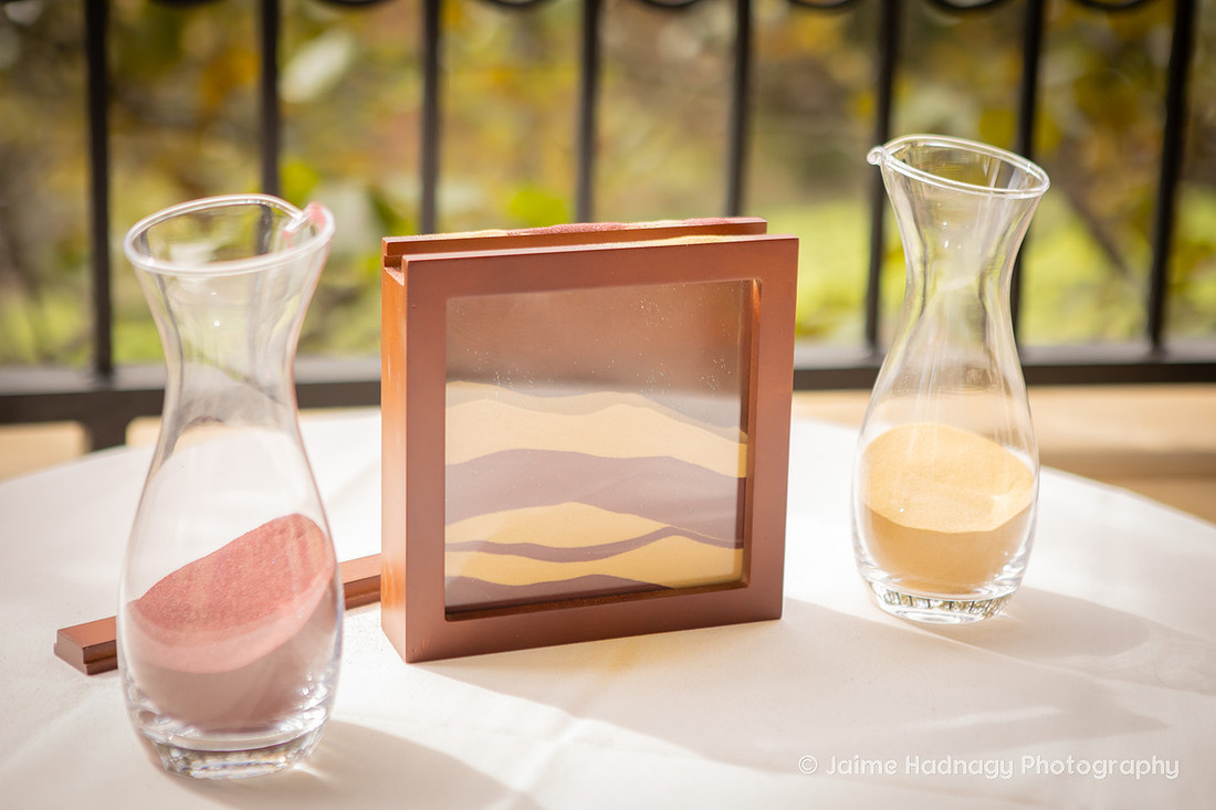 Biltmore Estate Wedding Photographer