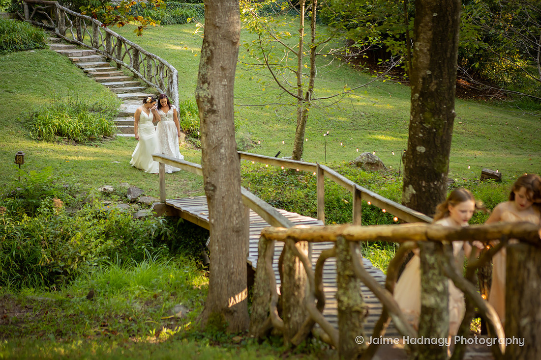 Douglas Ellington House Wedding | Asheville Wedding Photographer