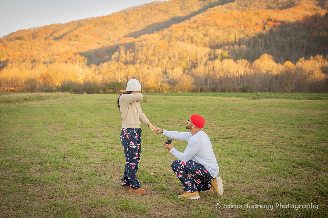 Christmas Proposal | Asheville Family Photographer