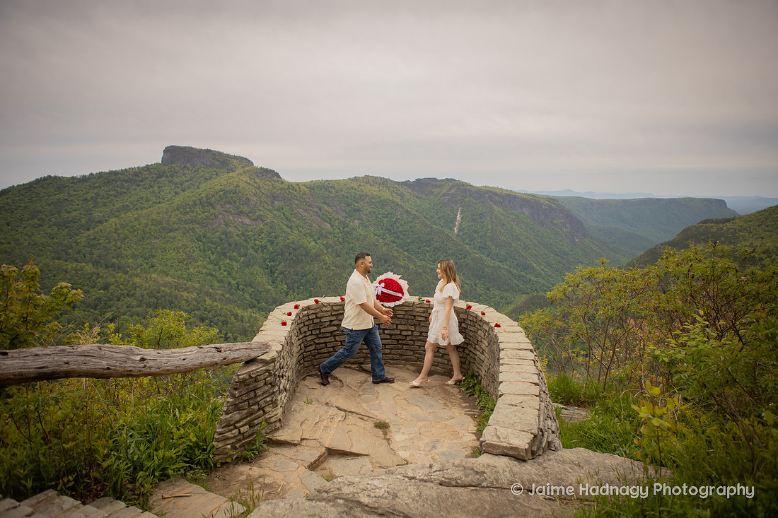 Romantic Proposal with Roses in the Mountains of Western NC | Asheville Photographer